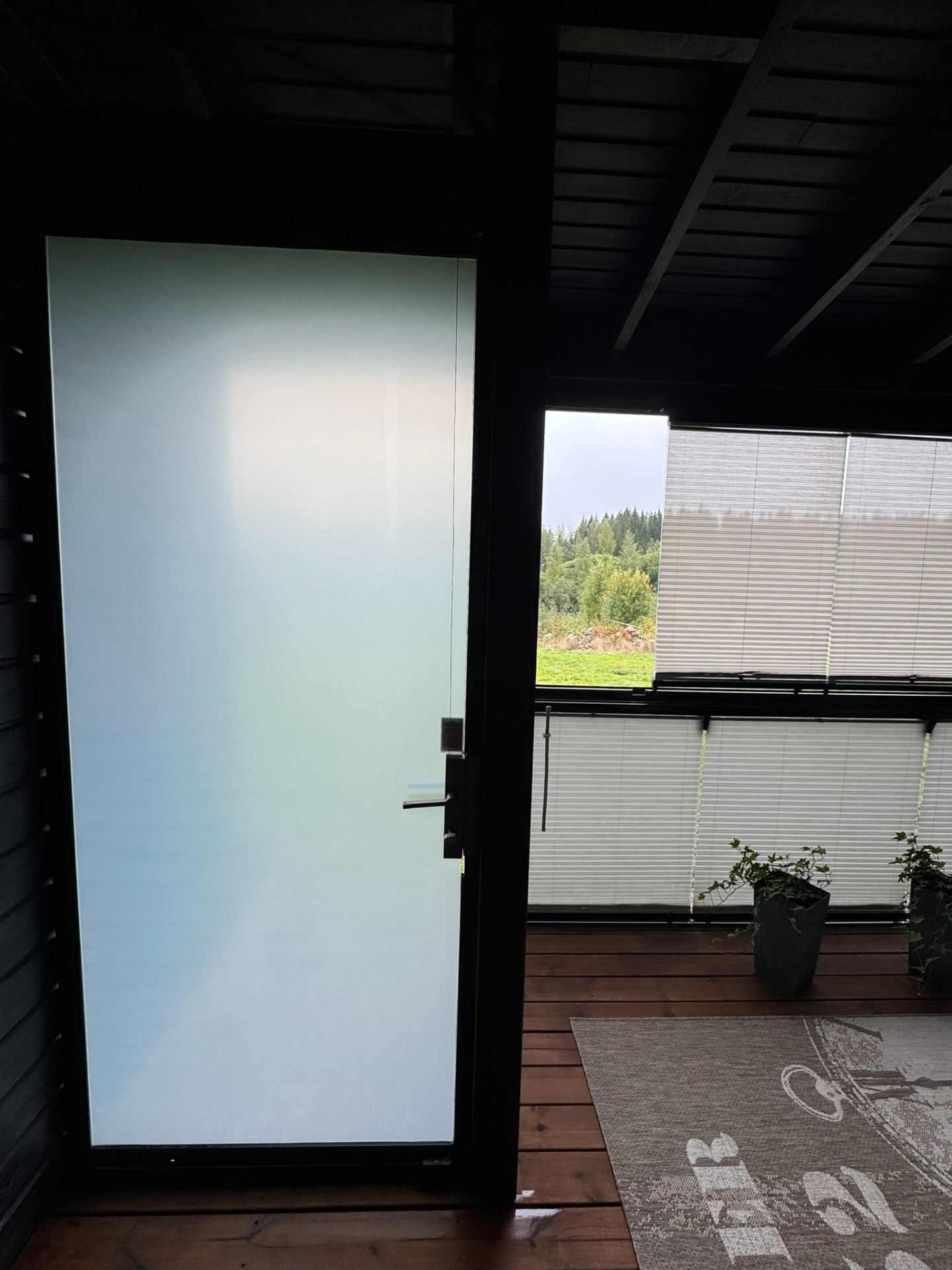 Lasioveen maitolasikalvo